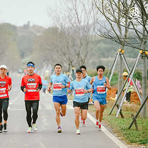 xcsport体育 88a2a